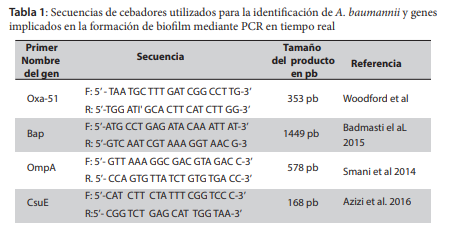 Secuencias de cebadores utilizados para la identificaci&oacute;n de A. baumannii y genes