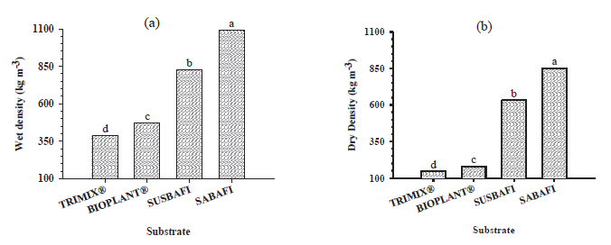 Physical characterization [(a) Wet and (b) dry
density] of commercial substrates (TRIMIX&reg; and BIOPLANT&reg;)
and based on subsurface soil, sugarcane bagasse and filter cake (SUSBAFI) and
sand, sugarcane bagasse and filter cake (SABAFI) formulated at proportion of
1:1:1. In each variable, mean values followed by different letters are
significantly different.