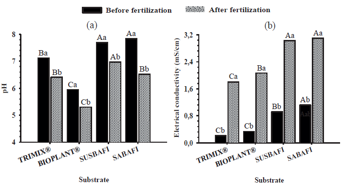 Chemical
characterization [(a) pH and (b) electrical conductivity] of commercial
substrates (TRIMIX&reg; and BIOPLANT&reg;) and based on
subsurface soil, sugarcane bagasse and filter cake (SUSBAFI) and sand,
sugarcane bagasse and filter cake (SABAFI) formulated at proportion of 1: 1: 1.
Mean values followed by different uppercase letters between fertilization times
(before and after) and lowercase letters between substrates are significantly
different.