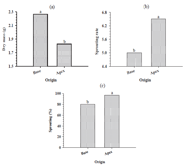 Characterization of sugarcane bud chip used in
pre-sprouted seedlings production [(a) Dry mass, (b) sprouting rate and (c)
sprouting percentage]. Mean values followed by different letters are
significantly different.