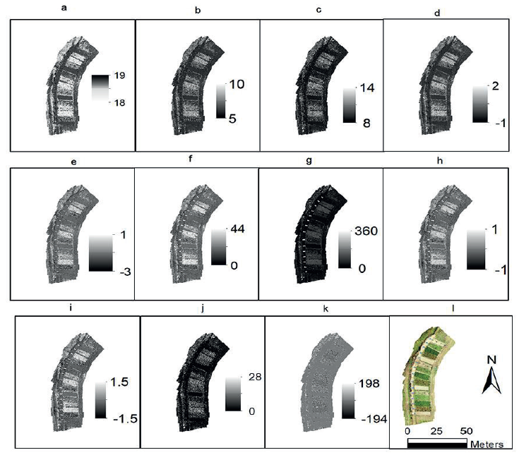 Maps of the visible vegetation indices CIVE (a),
COMB1 (b), COMB2 (c), ExG (d), EXGR (e), GR (f), HUE (g), NGRDI (h), SAVI (i), VEG (j), and WI (k) calculated on February 2, 2016 from
the RGB composition.