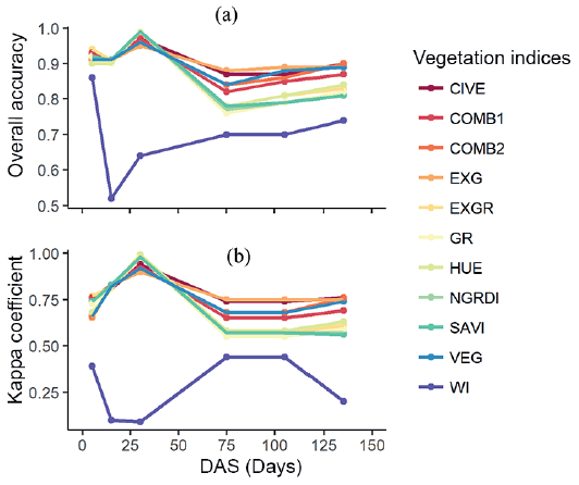 Overall accuracy (a) and Kappa coefficient (b) of
vegetation indices in relation to the days after sowing (DAS) of cover plants.
