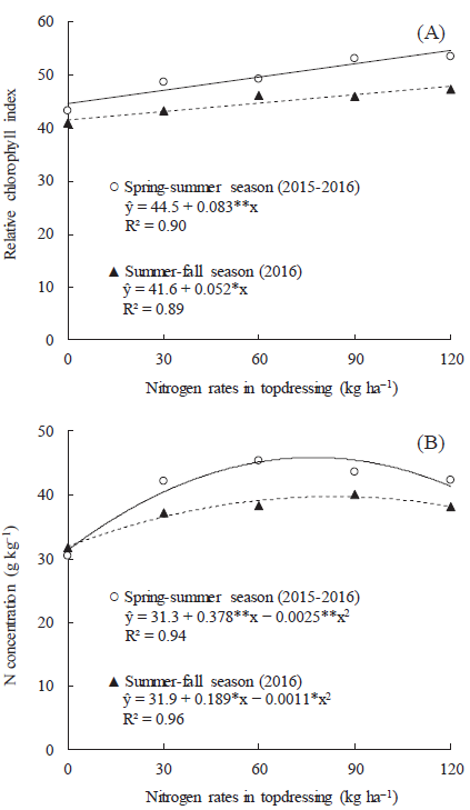 Effect of nitrogen fertilizer rates
in topdressing on relative chlorophyll index (A) and leaf
nitrogen concentration (B) of common bean plants (Phaseolus vulgaris L., cv. Pérola) grown in a sandy soil
from the Brazilian savanna region, during the two growing
seasons (“spring-summer” and “summer-fall”).