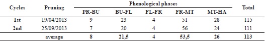Duration in days between the different phenological phases of the
'Itália Melhorada' grapevine in two cycles, grown under the semi-arid
conditions of the state of Rio Grande do Norte, Brazil.