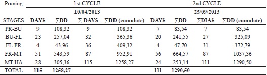 Thermal needs (Degrees Days) observed during the phenological stages
of the 'Itália Melhorada' grapevine, grown under the semi-arid
conditions of the state of Rio Grande do Norte, Brazil.