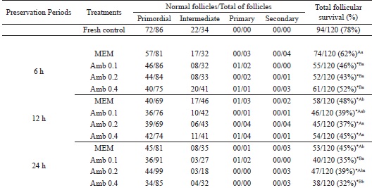 Number of morphologically normal follicles in different stages
								(primordial, intermediate, primary and secondary follicles) and
								total follicular survival (percentage of normal preantral follicles)
								in each treatment in the fresh control and after preservation in MEM
								or A. cearensis extract.