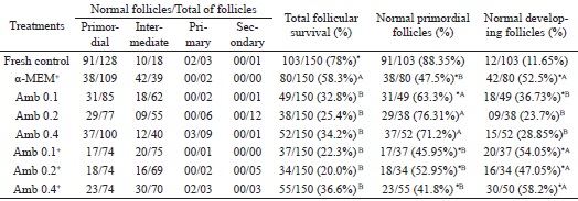Number of morphologically normal follicles in different stages
								(primordial, intermediate, primary and secondary follicles), total
								follicular survival (percentage of normal preantral follicles), and
								primordial and developing follicles in each treatment in the fresh
								control and after in vitro culture in
									α-MEM+ orA. cearensis extract (with or without
								supplement).