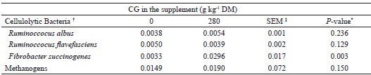 Effect of crude glycerin (CG) inclusion in the supplements on
							relative proportion of cellulolytic bacteria and methanogens of young
							Nellore steers grazing tropical grass during dry season (Exp. 1)