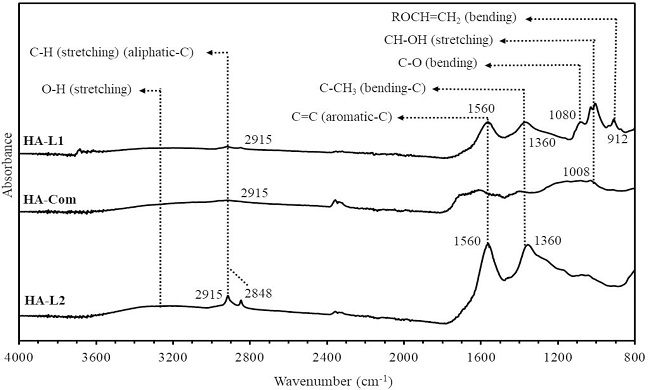 ATR-FTIR spectrum of the humic acid (HA) samples and the main organic
							chemical groups assignments found in humified matrices. HA-L1: HA
							extracted from Leonardite with NaOH; HA-Com: HA extracted from organic
							compost with KOH; HA-L2: HA extracted from Leonardite with KOH.