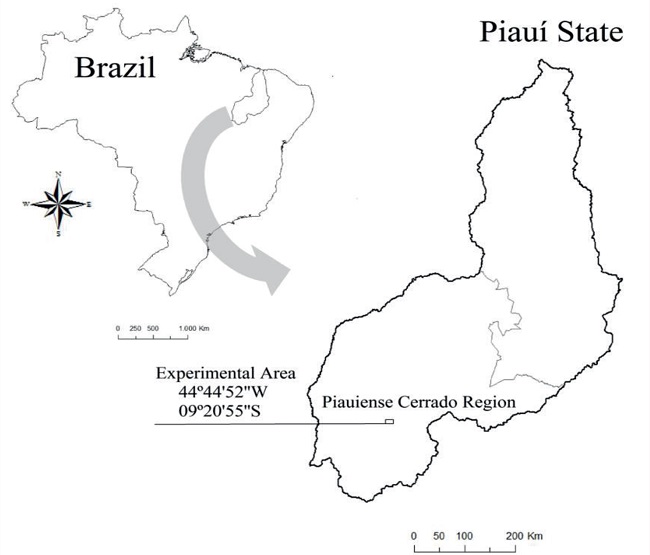 Location of the experimental area in the Cerrado of Piau&iacute; State,
								Brazil.