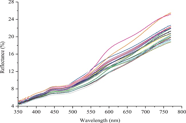 Diffuse reflectance spectra of samples in the visible
								range.