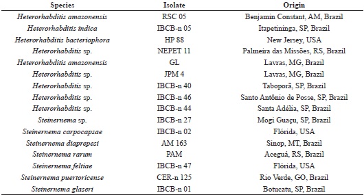 Isolates of entomopathogenic nematodes of the genera
								Steinernema and Heterorhabditis
							used in the selection test against larvae and adults of
								Hypothenemus hampei under laboratory
							conditions.