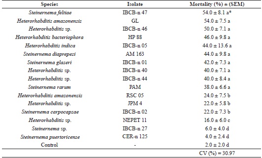 Mortality (%) of adults of Hypothenemus hampei
							caused by entomopathogenic nematodes (Steinernema spp.
							and Heterorhabditis spp.) under laboratory conditions
							(25 &plusmn; 1 &ordm;C, RH 70 &plusmn; 10%, and without photophase).