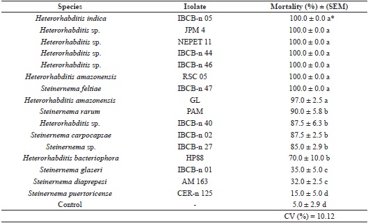Mortality (%) of larvae of Hypothenemus hampei
							caused by entomopathogenic nematodes (Steinernema spp.
							and Heterorhabditis spp.) under laboratory conditions
							(25 &plusmn; 1 &ordm;C, RH: 70 &plusmn; 10%, and without photophase).