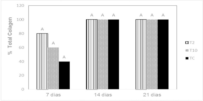 Graphic illustration of the collagen percentage on open skin wounds
							from rabbits treated with 2 mg ml-1T. aestivum aqueous extract (T2), 10 mg ml-1T. aestivum aqueous extract (T10) and non-ionic cream
							(CT), at 7, 14 and 21 days. Different letters indicate statistical
							significance (P ≤ 0.05).