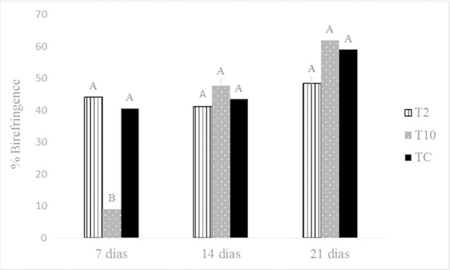Birefringence percentage (picrosirius), at days 7, 14 and 21, of open
							skin wounds from rabbits treated with 2 mg ml -1T. aestivum aqueous extract (T2), 10 mg ml-1T. aestivum aqueous extract (T10) and non-ionic cream
							(CT). Different letters indicate statistical significance (P ≤
							0.05).