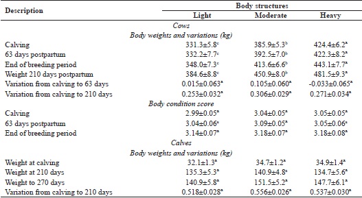 Adjusted means and standard errors for the development variables of
						Charolais cows with different body sizes and their calves.