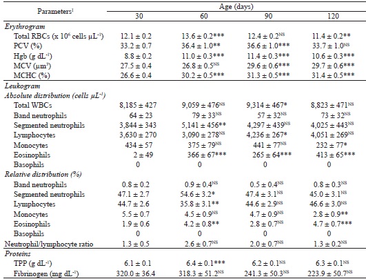 Means and standard errors (M &plusmn; SE) for hematological parameters,
						total plasma protein, and fibrinogen in &frac12; White Dorper x &frac12;
						Suffolk female lambs until four months of age.