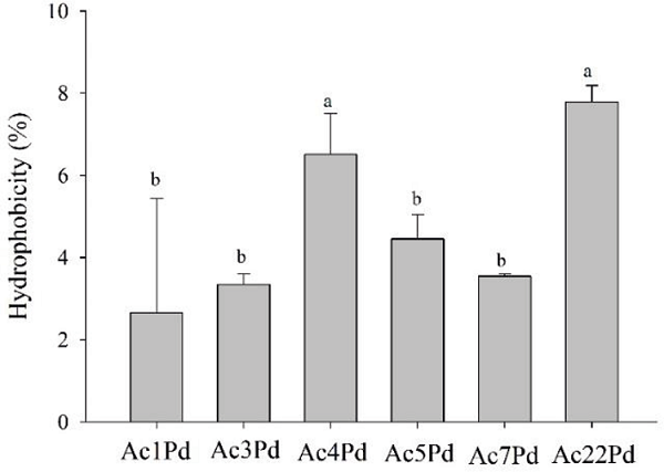 Hydrophobicity of P. pentosaceus isolates. Mean
								values followed by the same letter did not differ statistically
								according to the Scott-Knott test at 5% probability.