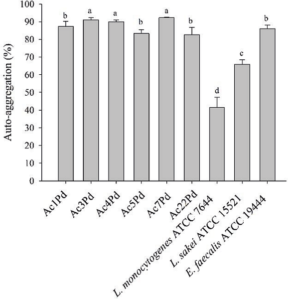 Auto-aggregation of isolates of P. pentosaceus, L.
									monocytogenes ATCC 7644, L. sakei ATCC
								15521 and E. faecalis ATCC 19444. Mean values
								followed by the same letter did not differ statistically according
								to the Scott-Knott test at 5% of probability.