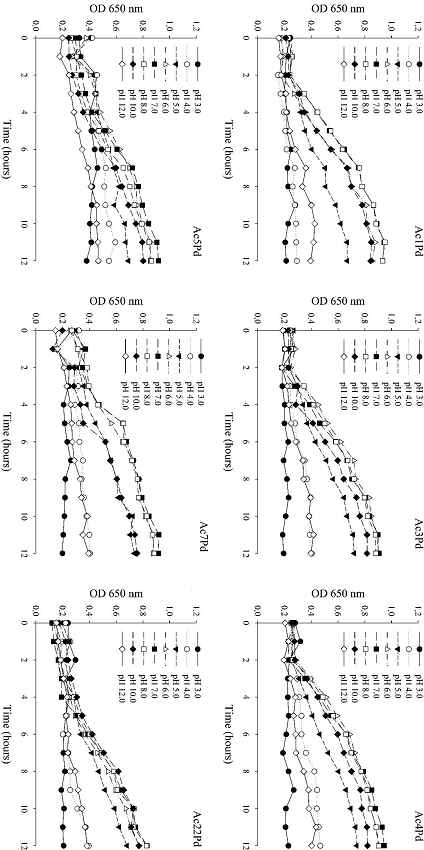 Growth of six P. pentosaceus isolates in MRS
								broth, as a function of pH over 12 h.
