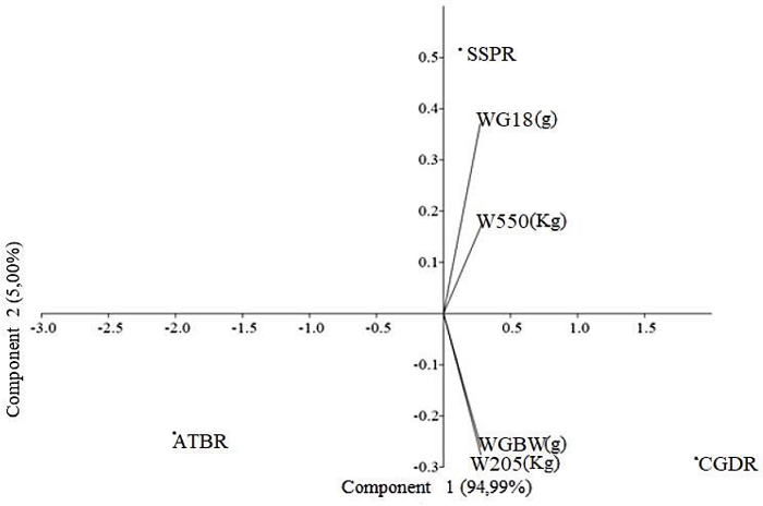 Biplot dispersion graph for weight gain from birth to weaning (WGBW),
							adjusted weight to 205 days (W205), weight gain from weaning to 18
							months of age (WG18) and adjusted weight to 550 days (W550) of Nellore
							cattle raised in the Alto Taquari/Bols&atilde;o (ATBR), Campo Grande/Dourados
							(CGDR) and western S&atilde;o Paulo/Paran&aacute; (SPPR) regions, in Brazil.