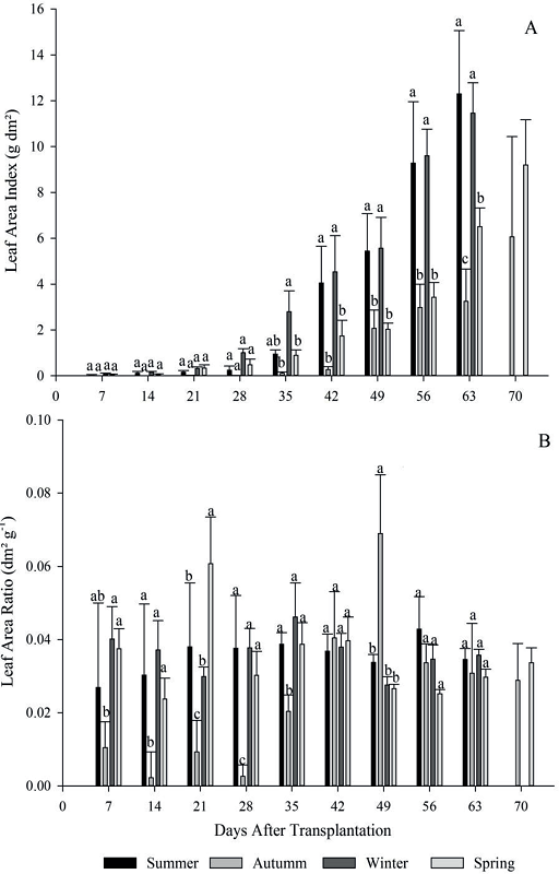 Leaf area index (A), leaf area ratio (B), for the four growing
							seasons (summer, autumn, winter and spring) of escarole in 2015.
							Frederico Westphalen - RS.