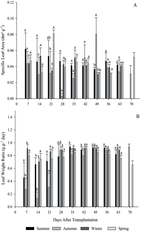 Specific leaf area (A) and leaf weight ratio (B) for the four growing
							seasons (summer, autumn, winter and spring) of escarole in 2015.
							Frederico Westphalen - RS.