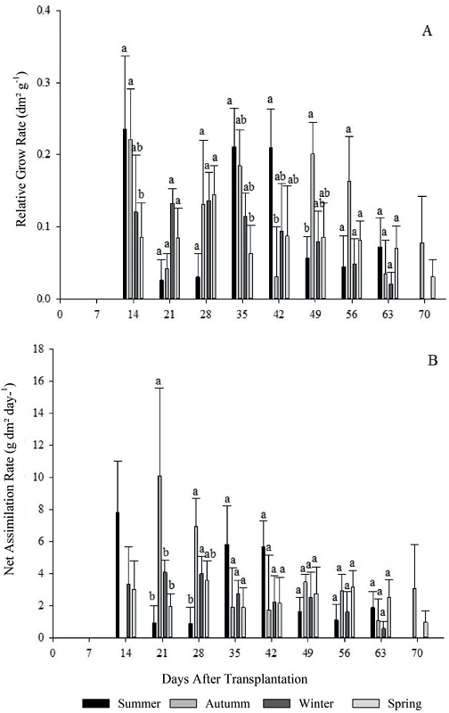 Relative growth rate (A), net assimilation rate (B) for four growing
							seasons (summer, autumn, winter and spring) of escarole in 2015.
							Frederico Westphalen - RS.