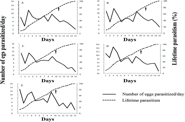 Parasitism of Telenomus podisi on
									Euschistus heros eggs when chlorantraniliprole
								has been applied; A) 10 g a.i. ha-1chlorantraniliprole
								(Premio&reg;); B) 15 g a.i. ha-1 chlorantraniliprole
								(Premio&reg;); C) 20 g a.i. ha-1 chlorantraniliprole
								(Premio&reg;); D) 30 g a.i. ha-1 chlorantraniliprole
								(Premio&reg;); E) 50 g a.i. ha-1 chlorantraniliprole
								(Premio&reg;). The arrows indicate 80% of lifetime
								parasitism.