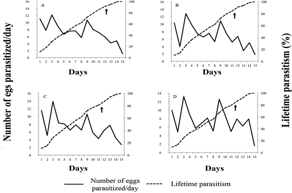 Parasitism of Telenomus podisi on
									Euschistus heros eggs where chlorantraniliprole
								+ lambda-cyhalothrin has been applied; A) 10 + 5 g a.i.
									ha-1 chlorantraniliprole + lambda-cyhalothrin
								(Ampligo&reg;); B) 20 + 10 g a.i. ha-1
								chlorantraniliprole + lambda-cyhalothrin (Ampligo&reg;); C) 30 +
								15 g a.i. ha-1 chlorantraniliprole + lambda-cyhalothrin
								(Ampligo&reg;); D) negative control - water. The arrows indicate
								80% of lifetime parasitism.
