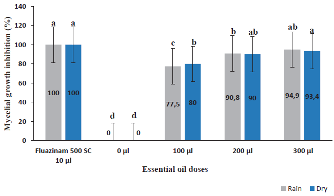 Percent of mycelia growth inhibition of the fungus Sclerotinia
							sclerotiorum by the fungicide fluazinam 500 SC and different
						concentrations of the essential oil of the guava leaves extracted during the
						rainy (January 2014) and dry (July 2014) seasons. *Means followed by the
						same letter did not differ significantly according to the Tukey test (5%),
						with each extraction season being evaluated separately. The bars in the
						columns represent the standard deviation.