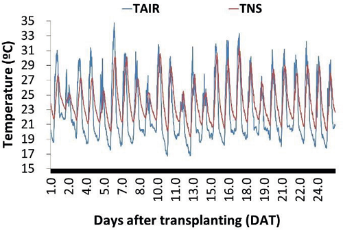 Air and nutrient solution temperatures along lettuce cycle.