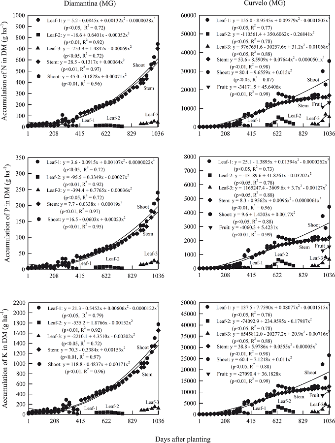 Accumulation of N, P and K in dry mass (DM) of leaf, stem, fruit and
							shoot in physic nut plants under two soil and climatic conditions
							(Diamantina and Curvelo) from Minas Gerais State, evaluated up to 1,036
							days after planting of the seedlings, except for the DM fruit in
							Diamantina, where the plants did not fruit until the date of
							harvest.