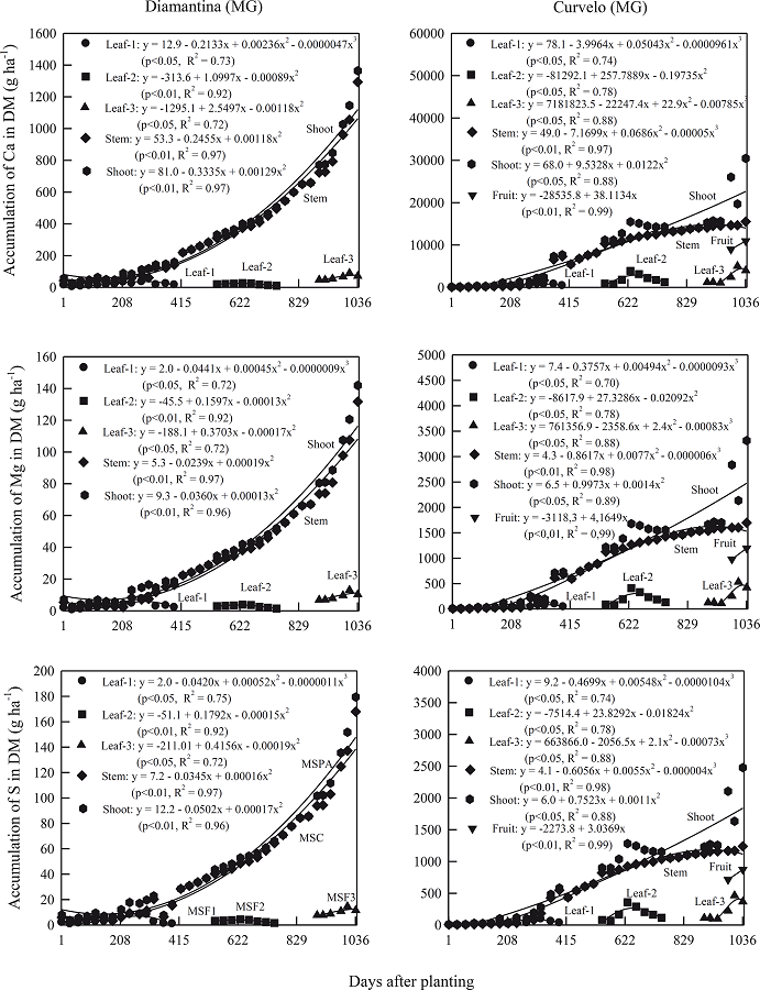 Accumulation of Ca, Mg and S in dry mass (DM) of leaf, stem, fruit
							and shoot in physic nut plants under two soil and climatic conditions
							(Diamantina and Curvelo) from Minas Gerais State, evaluated up to 1,036
							days after planting of the seedlings, except for the DM fruit in
							Diamantina, where the plants did not fruit until the date of
							harvest.