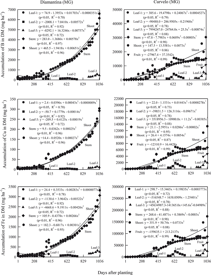 Accumulation of B, Cu and Fe in dry mass (DM) of leaf, stem, fruit
							and shoot in physic nut plants under two soil and climatic conditions
							(Diamantina and Curvelo) from Minas Gerais State, evaluated up to 1,036
							days after planting of the seedlings, except for the DM fruit in
							Diamantina, where the plants did not fruit until the date of
							harvest.