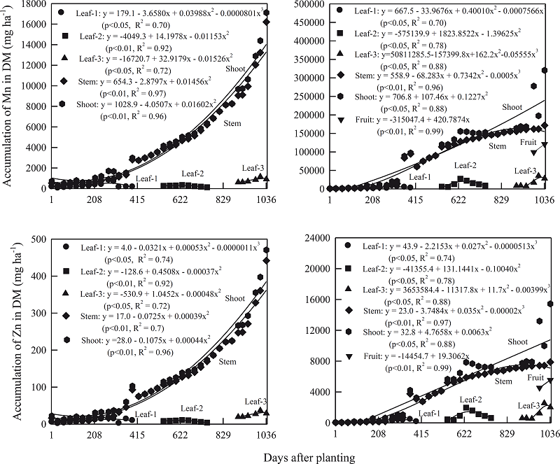 Accumulation of Mn and Zn in dry mass (DM) of leaf, stem, fruit and
							shoot in physic nut plants under two soil and climatic conditions
							(Diamantina and Curvelo) from Minas Gerais State, evaluated up to 1,036
							days after planting of the seedlings, except for the DM fruit in
							Diamantina, where the plants did not fruit until the date of
							harvest.