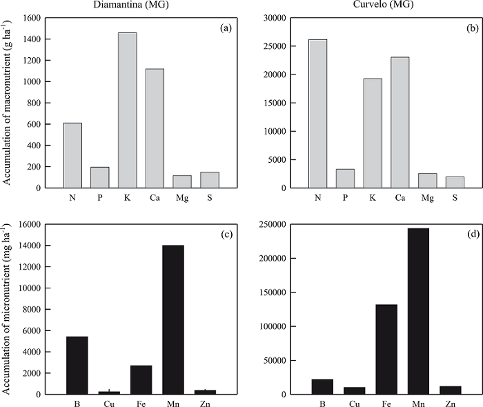 Accumulation of macronutrients (a and b) and micronutrients (c and d)
							in physic nut plants under two soil and climatic conditions (Diamantina
							and Curvelo) from Minas Gerais State, evaluated up to 1,036 days after
							planting of the seedlings.
