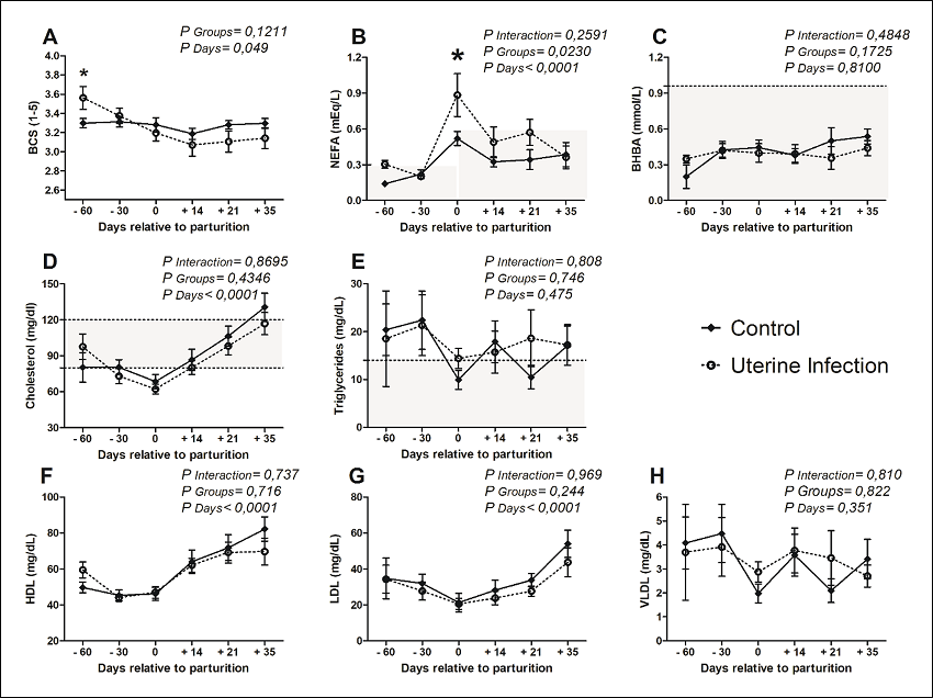 Energy profile of crossbred dairy cows (Holstein/Gir), with or
without uterine diseases, under an intensive production system,
Uberlandia - Minas Gerais State, Brazil.