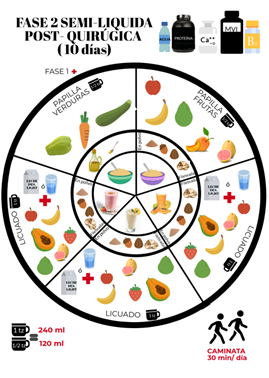 Fase 2 semilíquida posquirúrgica.