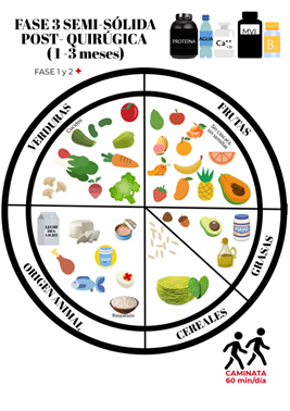 Fase 3 semisólida posquirúgica.