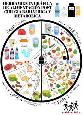 Herramienta gráfica de alimentación pos Cirugía Bariátrica y Metabólica