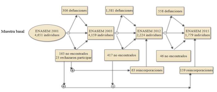 Diagrama del tamao y seguimiento de la muestra de adultos mayores, ENASEM 2001-2015
