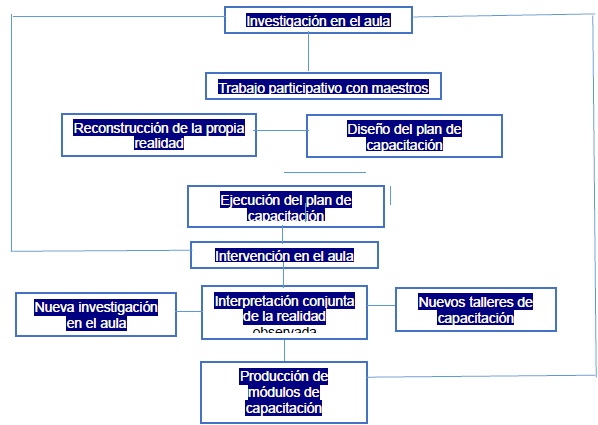 Fases de desarrollo del estudio