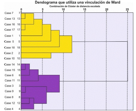 Agrupaci&oacute;n de las personas participantes seg&uacute;n respuestas satisfactorias o no satisfactorias en la prueba previa