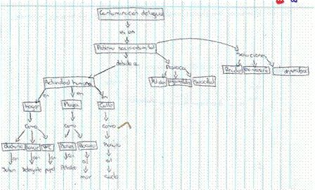 Ejemplo de un mapa conceptual posterior de nivel medio según el criterio de relaciones entre conceptos
