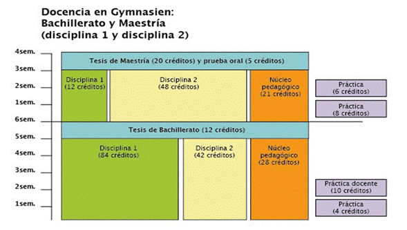 Docencia en Gymnasien: Bachillerato y Maestr&iacute;a ( disciplina 1 y disciplina 2)