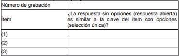 Plantilla empleada por jueces con ítems modificados