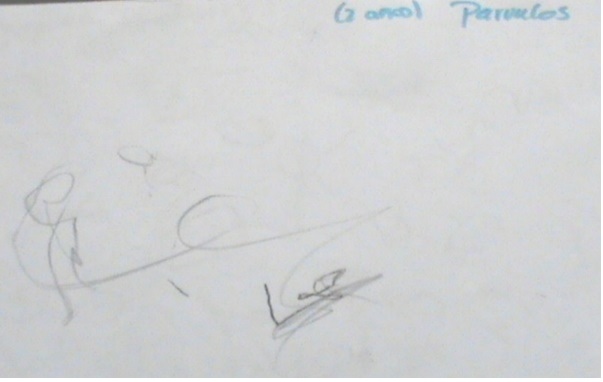 Muestra de escritura correspondiente a la hip&oacute;tesis pre-sil&aacute;bica, Colombia, Instituci&oacute;n objeto de estudio