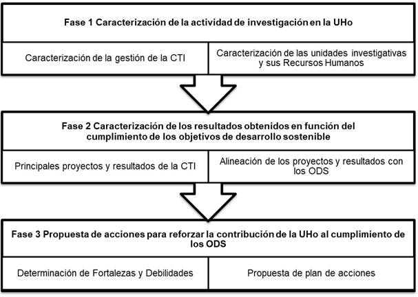 Procedimiento utilizado para realizar la investigaci&oacute;n